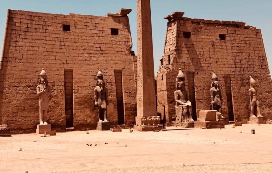 Private day trip to Luxor